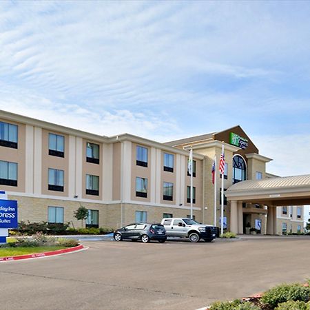 Holiday Inn Express And Suites Schulenburg By Ihg מראה חיצוני תמונה
